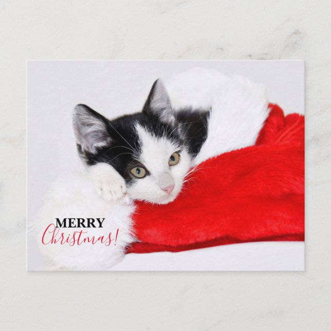 Niedlich Kitten in Weihnachtsmannmütze Feiertagspostkarte (Vorderseite)