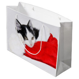 Niedlich Kitten in Weihnachtsmannmütze Große Geschenktüte
