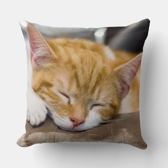 Niedlich Kitten Kissen (Vorderseite)