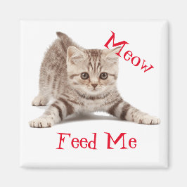 Niedlich Kitten Magnet