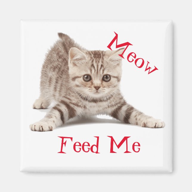 Niedlich Kitten Magnet (Vorne)