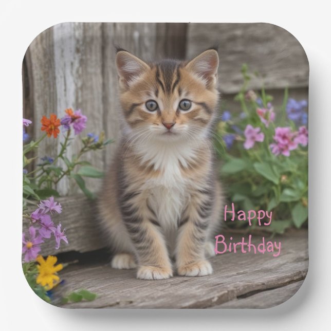 Niedlich Kitten Pappteller (Vorderseite)