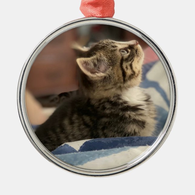 Niedlich Kitten Personalisiert Foto Weihnachten Ornament Aus Metall (Vorne)