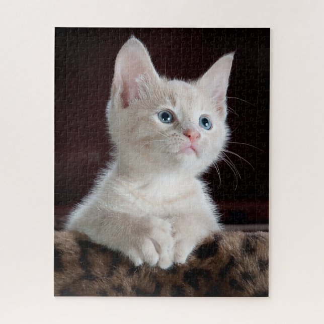 Niedlich Kitten Portrait (Vertikal)