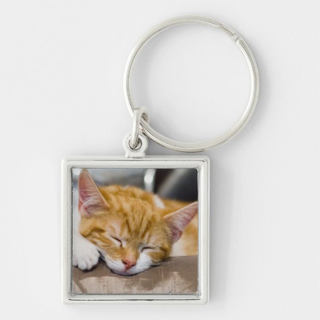 Niedlich Kitten Schlüsselanhänger (Vorne)
