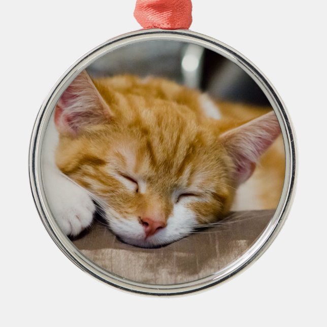 Niedlich Kitten Silbernes Ornament (Vorne)