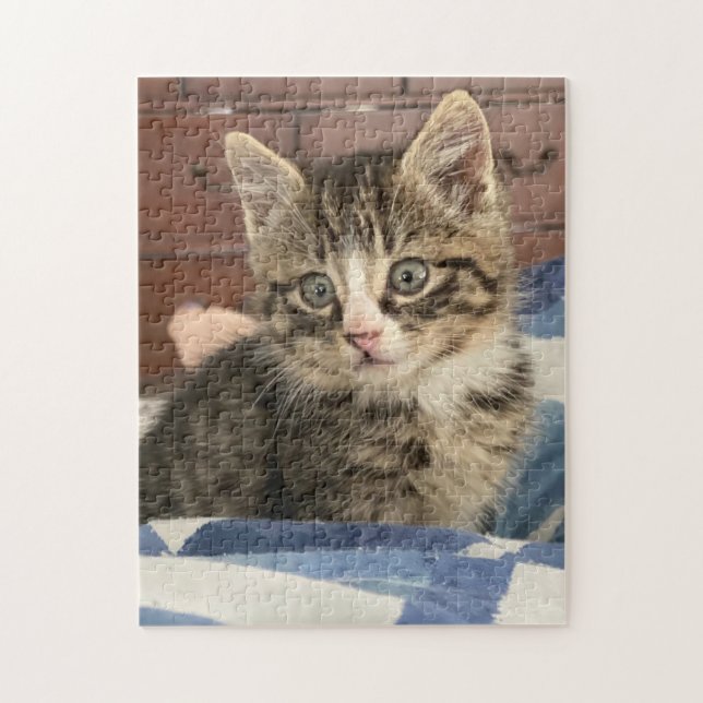 Niedlich Kitten | Verlass dieses Bild oder eigene  (Vertikal)