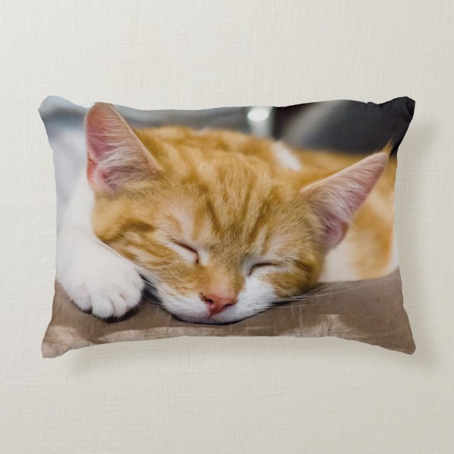 Niedlich Kitten Zierkissen (Vorderseite)