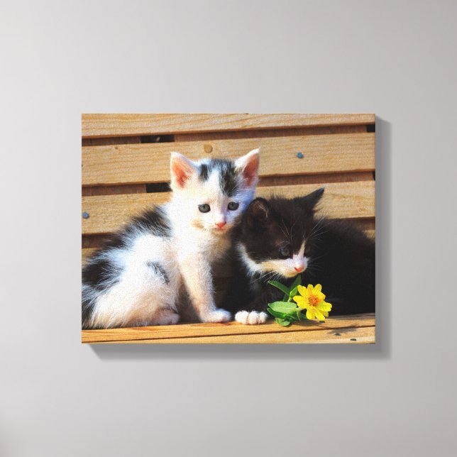 Niedlich Kittens Blume Cat Foto Leinwanddruck (Vorderseite)