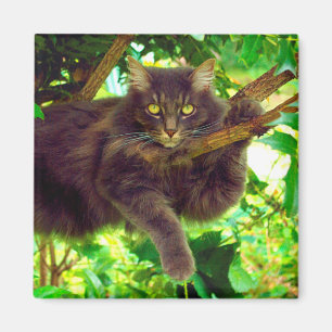 Niedlich Kitty Cat Magnet