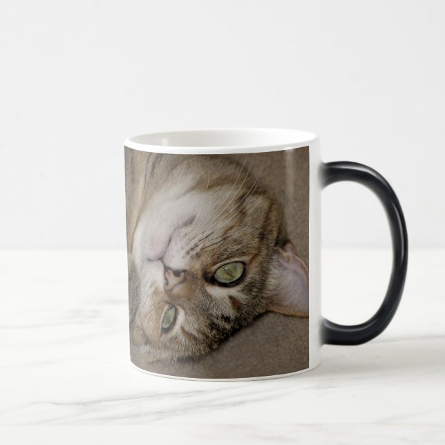 Niedlich Kitty Morph Tasse (Rechts)
