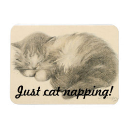 Niedlich Kitty Napping Magnet