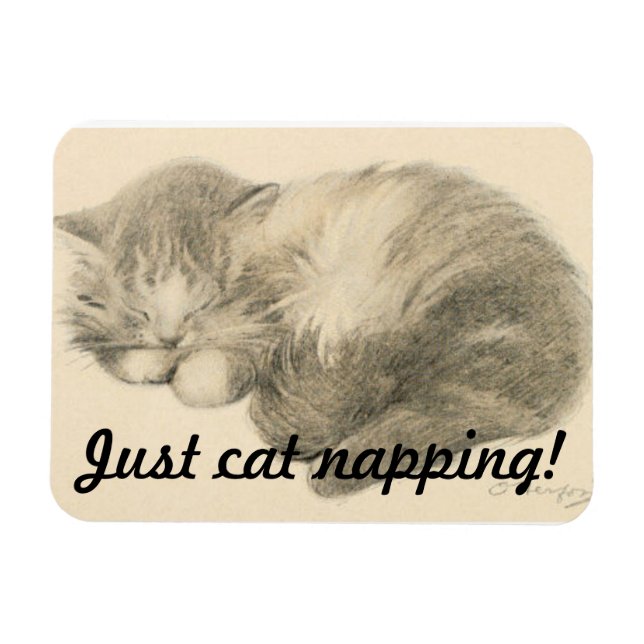 Niedlich Kitty Napping Magnet (Horizontal)