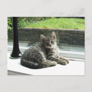 Niedlich Kitty Postkarte