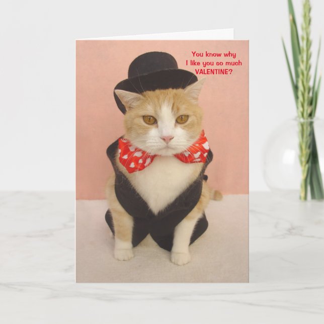 Niedlich Kitty Valentine Feiertagskarte (Vorderseite)