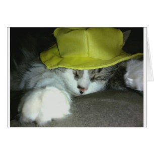 NIEDLICH KITZE