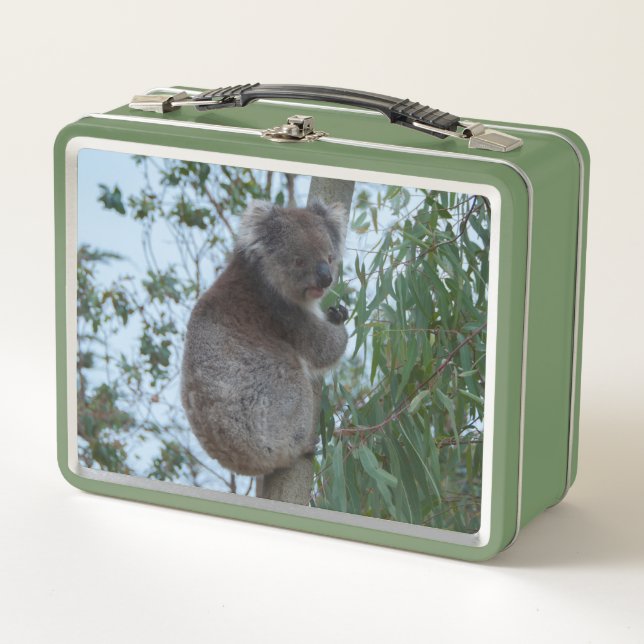 Niedlich Koala in einem Baum, der Grün isst Metall Brotdose (Vorderseite)