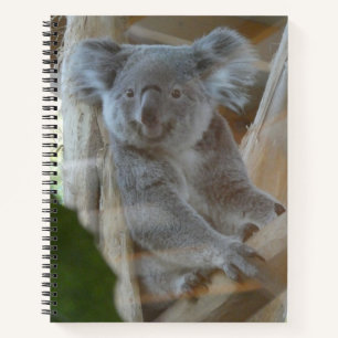 Niedlich-Koala-Notebook Notizbuch