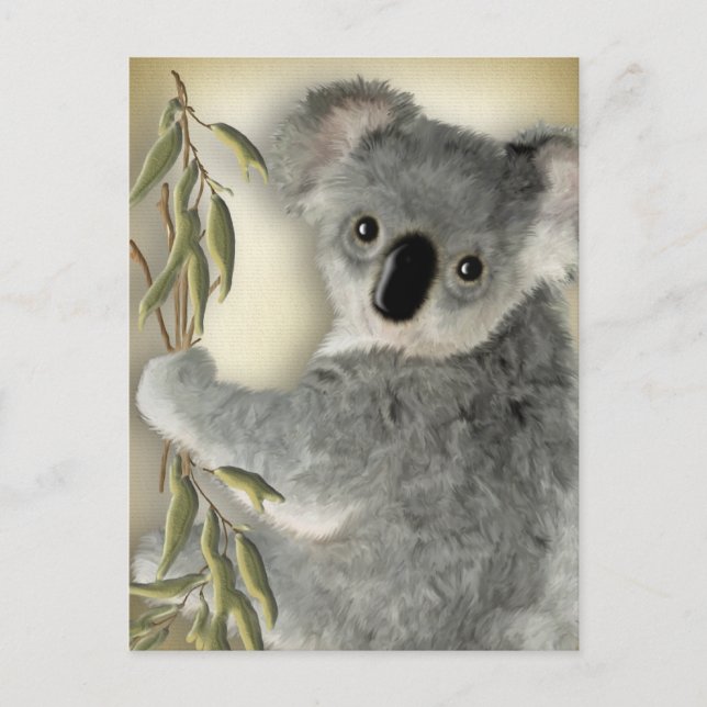 Niedlich Koala Postkarte (Vorderseite)