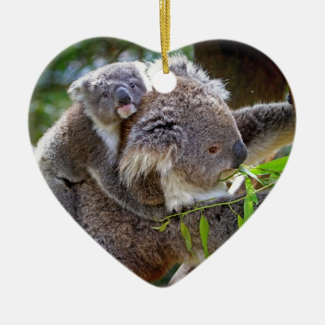 Niedlich Koalas Keramikornament (Vorne)