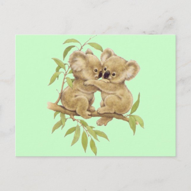 Niedlich Koalas Postkarte (Vorderseite)