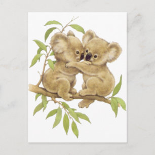 Niedlich Koalas Postkarte