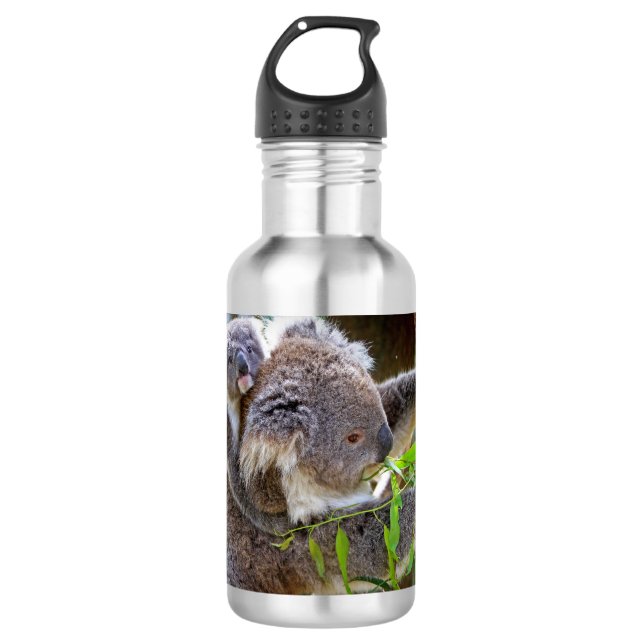 Niedlich Koalas Trinkflasche (Vorderseite)