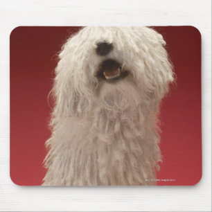 Niedlich Komondor Hund Mousepad