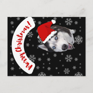 niedlich lächelnd Santa Husky in rotem Hut Postkarte