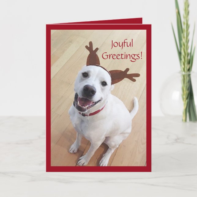 Niedlich Lächelnd Weiße Rentiere Weihnachten (Vorderseite)