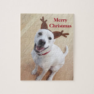 Niedlich Lächelnd Weiße Rentiere Welpen Weihnachte