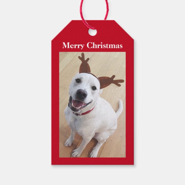 Niedlich Lächelnd Weiße Rentiere Welpen Weihnachte Geschenkanhänger (Vorderseite)