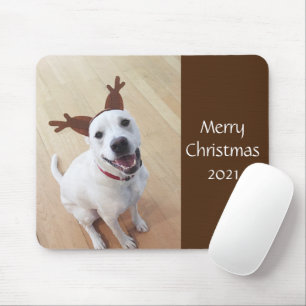 Niedlich Lächelnd Weiße Rentiere Welpen Weihnachte Mousepad