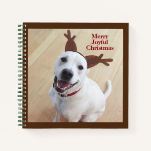 Niedlich Lächelnd Weiße Rentiere Welpen Weihnachte Notizbuch