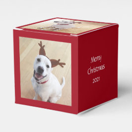 Niedlich lächelnd Weißer Rentier Hund Weihnachten  Geschenkschachtel