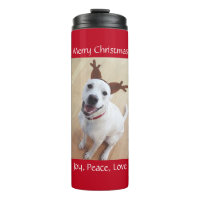 Niedlich lächelnd weißer Rentier Welpenhund Christ