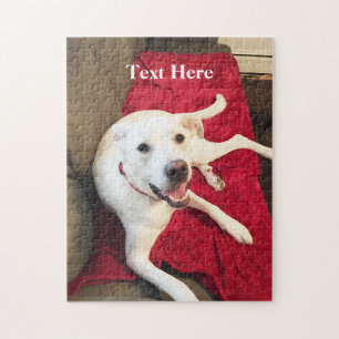 Niedlich lächelnd weißer Welpenhund Weihnachten