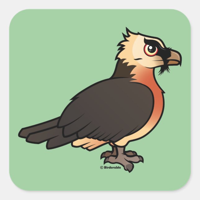 Niedlich Lammergeier Quadratischer Aufkleber (Vorderseite)