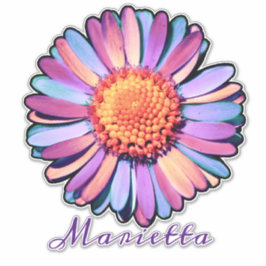 Niedlich Lila Pink Blue Boho Daisy Personalisiert  Aufkleber
