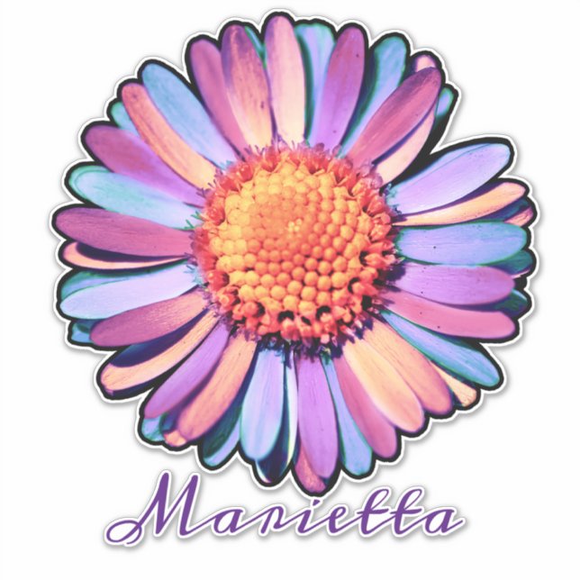 Niedlich Lila Pink Blue Boho Daisy Personalisiert  Aufkleber (Vorderseite)