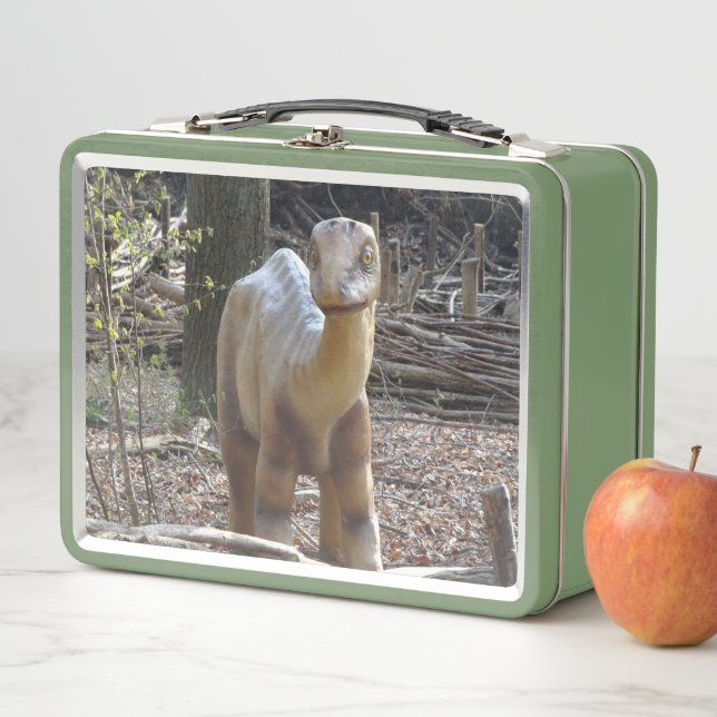 Niedlich Little Beige Dinosaurier Lunchbox (Beispiel)