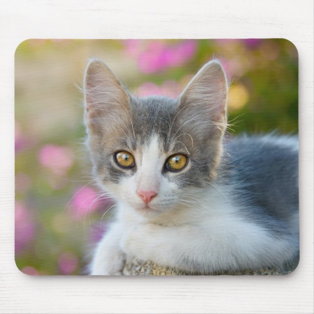 Niedlich Little Bicolor Kitten Fluffy Foto Cat Lov Mousepad (Vorne)