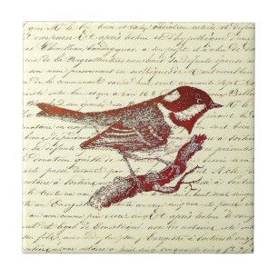 Niedlich Little Bird Vintage französische Schrift Fliese