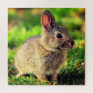 Niedlich Little Bunny - Sweet