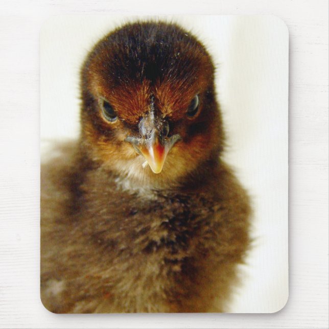Niedlich Little Chick Mousepad (Vorne)