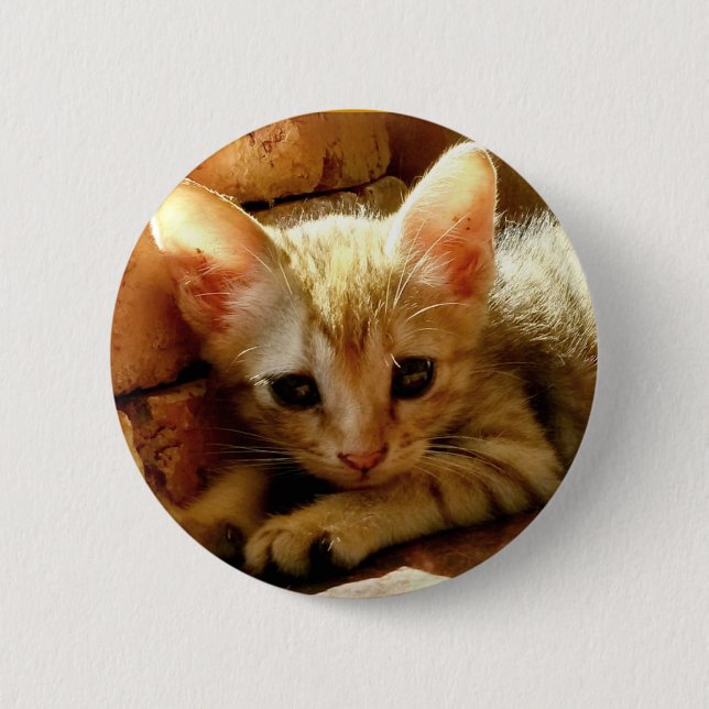 Niedlich Little Kitten Button (Vorderseite)