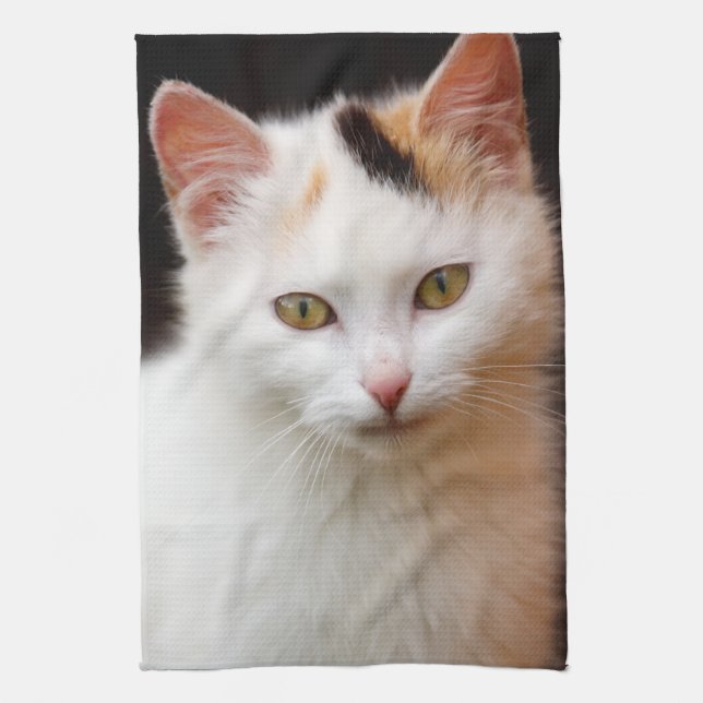 Niedlich Little Kitten Handtuch (Vertikal)