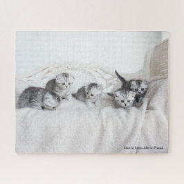 Niedlich Little Kittens