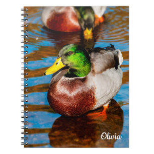 Niedlich Little Mallard Duck Spiral Notebook Notizblock