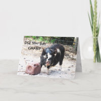 Niedlich Little Piggy - Geburtskarte